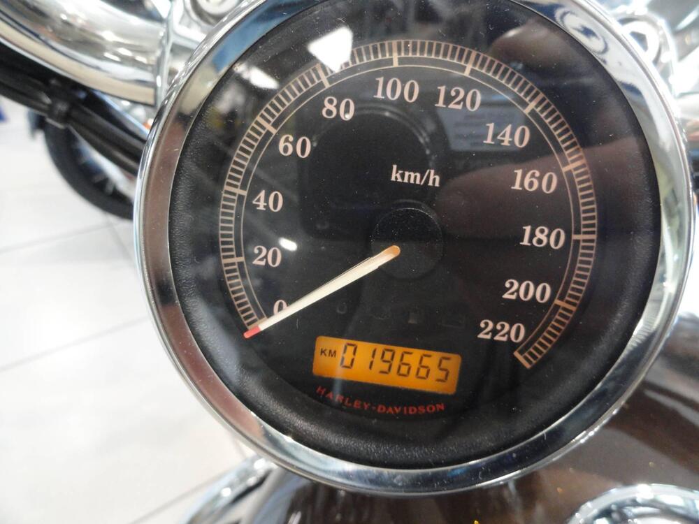 Harley-Davidson 1200 Custom (2007 - 13) - XL 1200C (8)