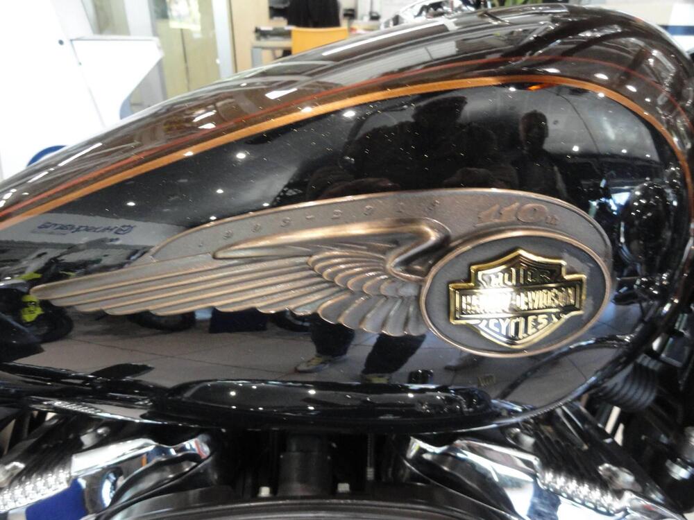 Harley-Davidson 1200 Custom (2007 - 13) - XL 1200C (9)