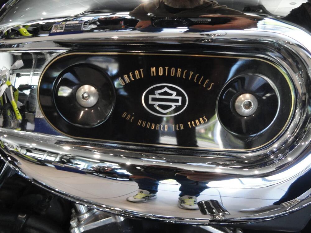 Harley-Davidson 1200 Custom (2007 - 13) - XL 1200C (11)