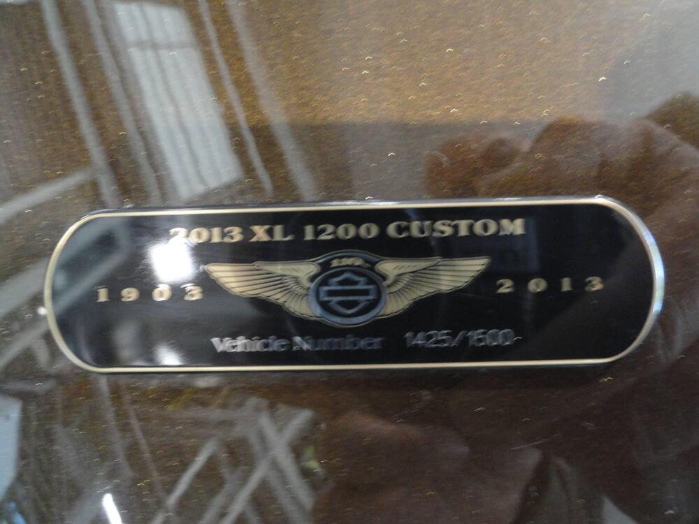 Harley-Davidson 1200 Custom (2007 - 13) - XL 1200C (13)