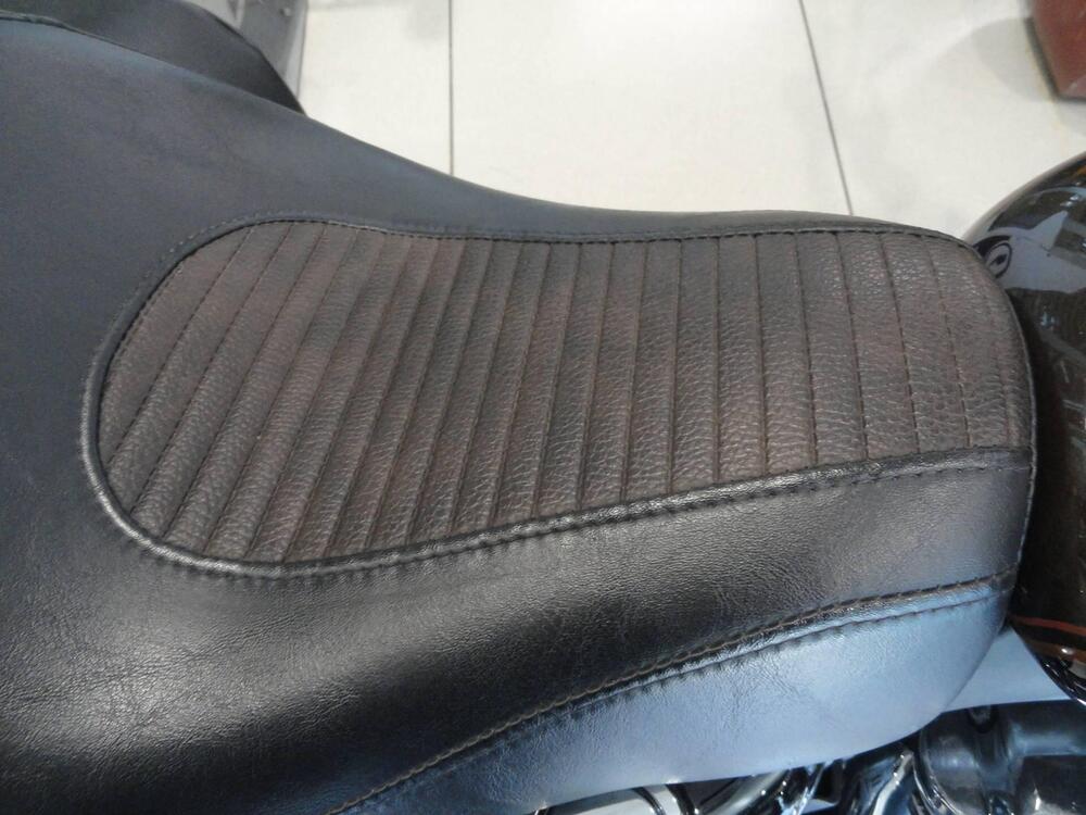 Harley-Davidson 1200 Custom (2007 - 13) - XL 1200C (18)