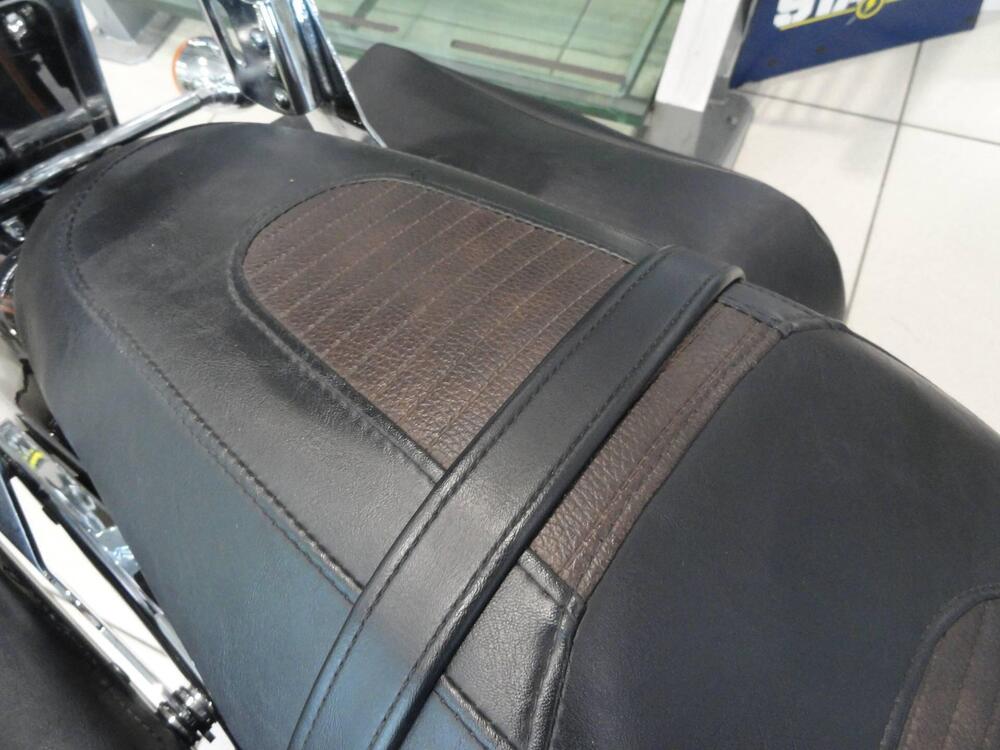 Harley-Davidson 1200 Custom (2007 - 13) - XL 1200C (19)