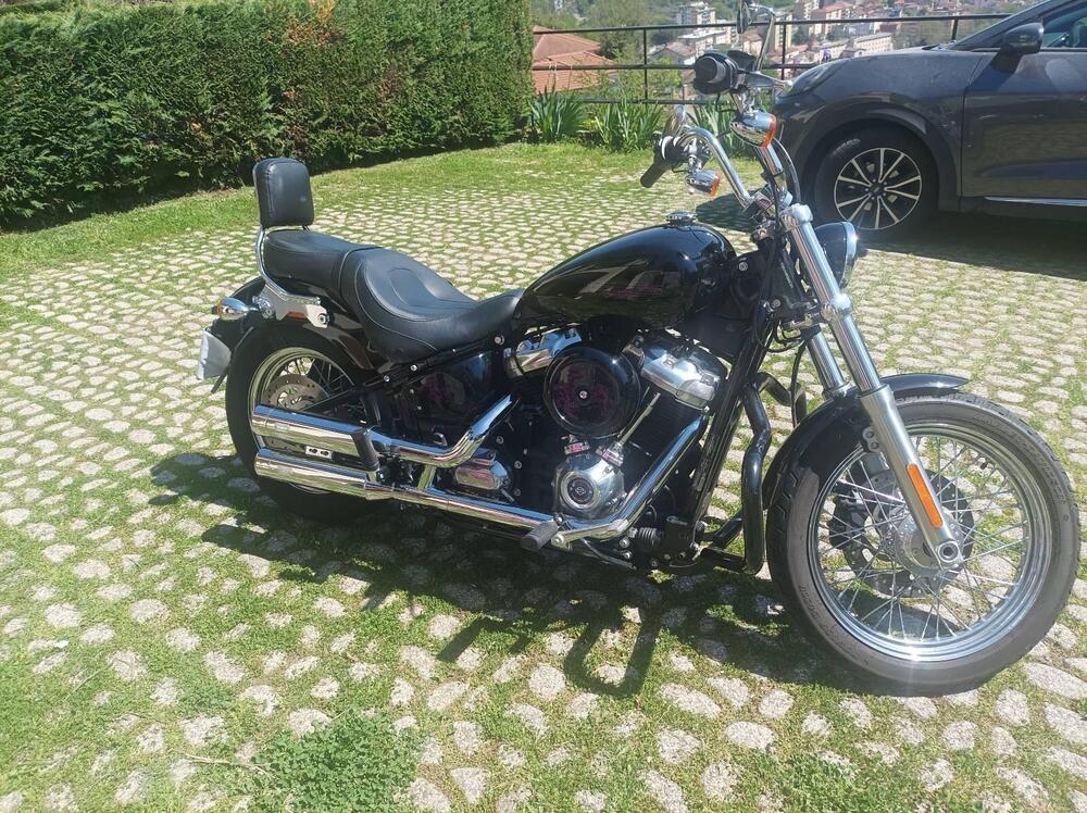 Harley-Davidson Softail Standard (2020) - FXST (2)