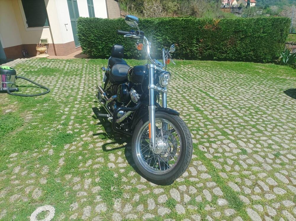 Harley-Davidson Softail Standard (2020) - FXST (3)