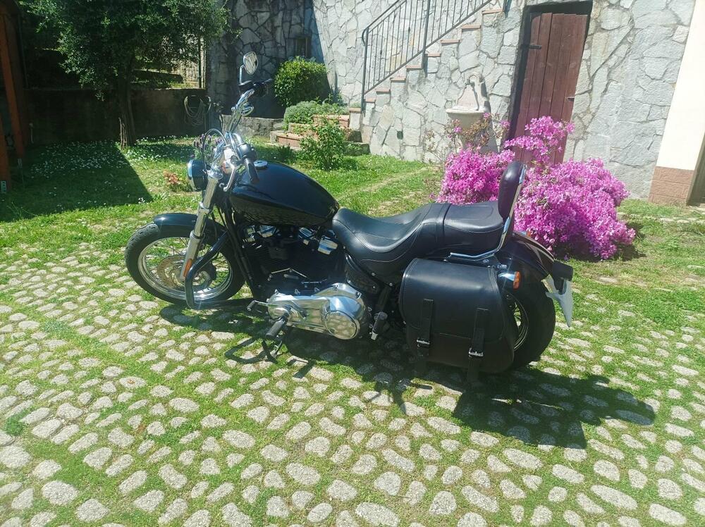 Harley-Davidson Softail Standard (2020) - FXST