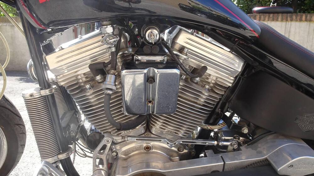 Harley-Davidson 1450 Springer (2001 - 03) - FXSTS (11)