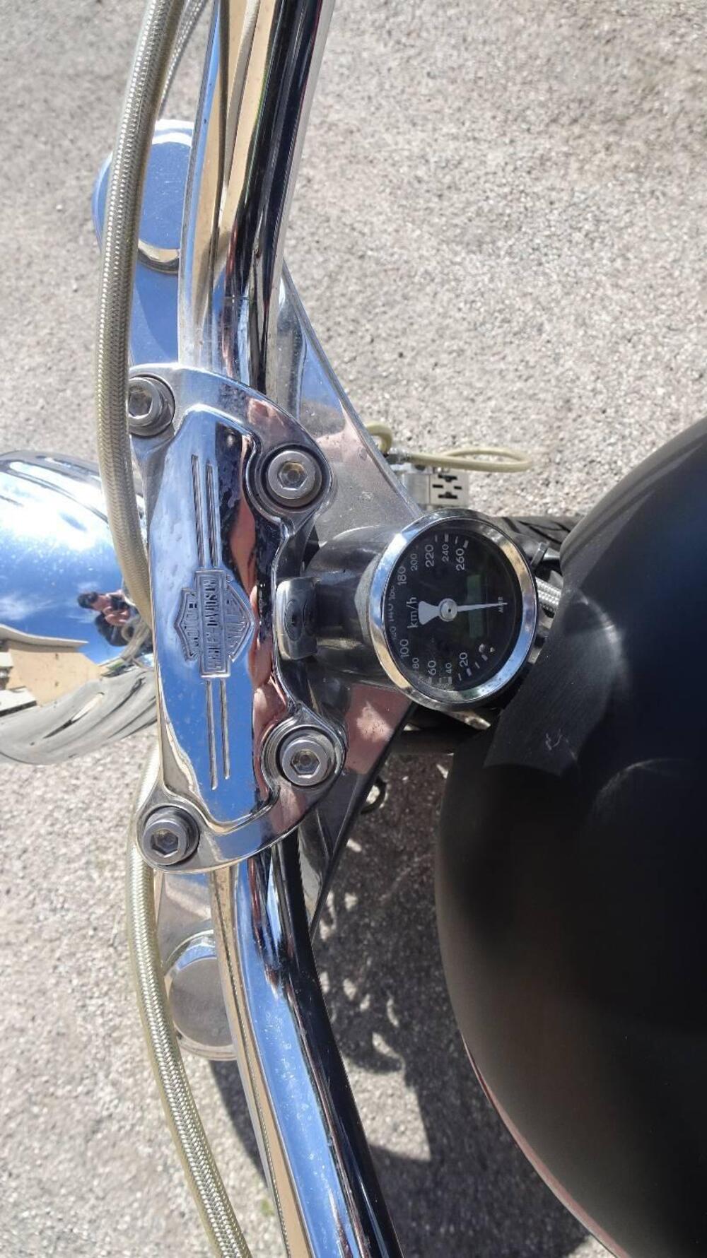 Harley-Davidson 1450 Springer (2001 - 03) - FXSTS (19)