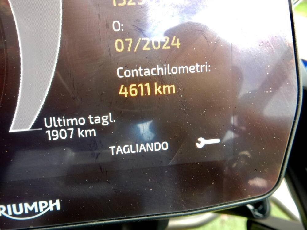 Triumph Tiger 1200 Rally Explorer (2022 - 23) (5)