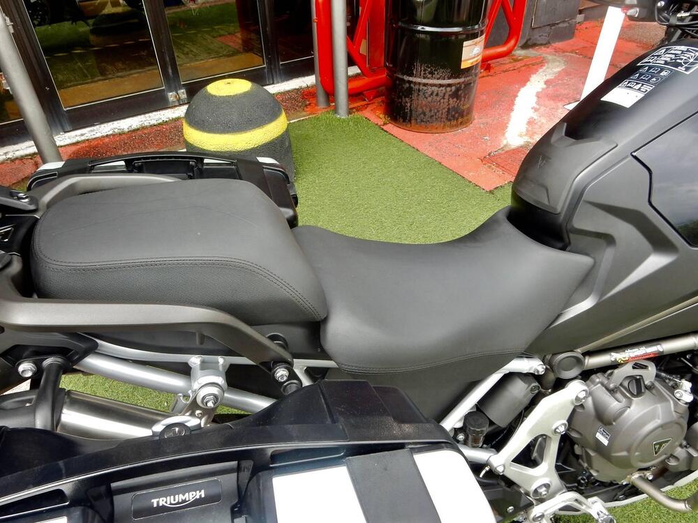 Triumph Tiger 1200 Rally Explorer (2022 - 23) (9)