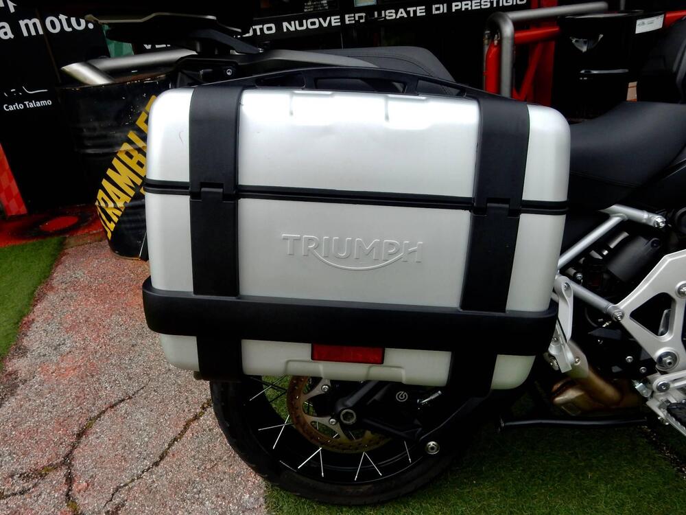 Triumph Tiger 1200 Rally Explorer (2022 - 23) (11)
