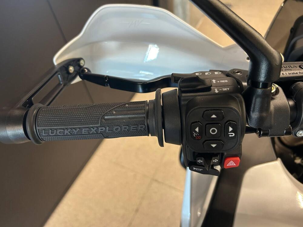 MV Agusta LXP Orioli (2024 - 26) (9)