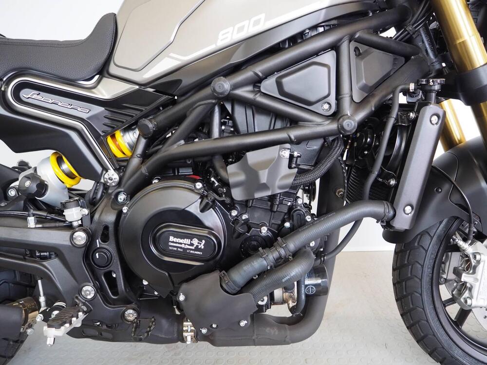 Benelli Leoncino 800 (2022 - 25) (3)