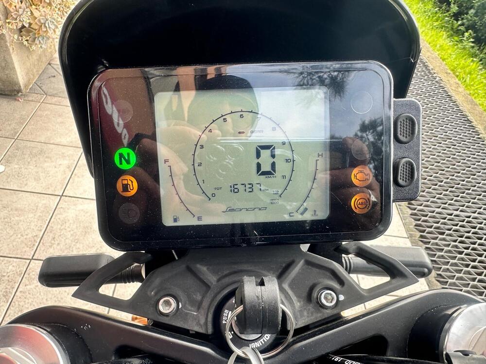 Benelli Leoncino 250 (2021 - 25) (9)