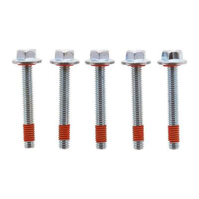 Kit 5 viti fissaggio carter primaria per Softail d 