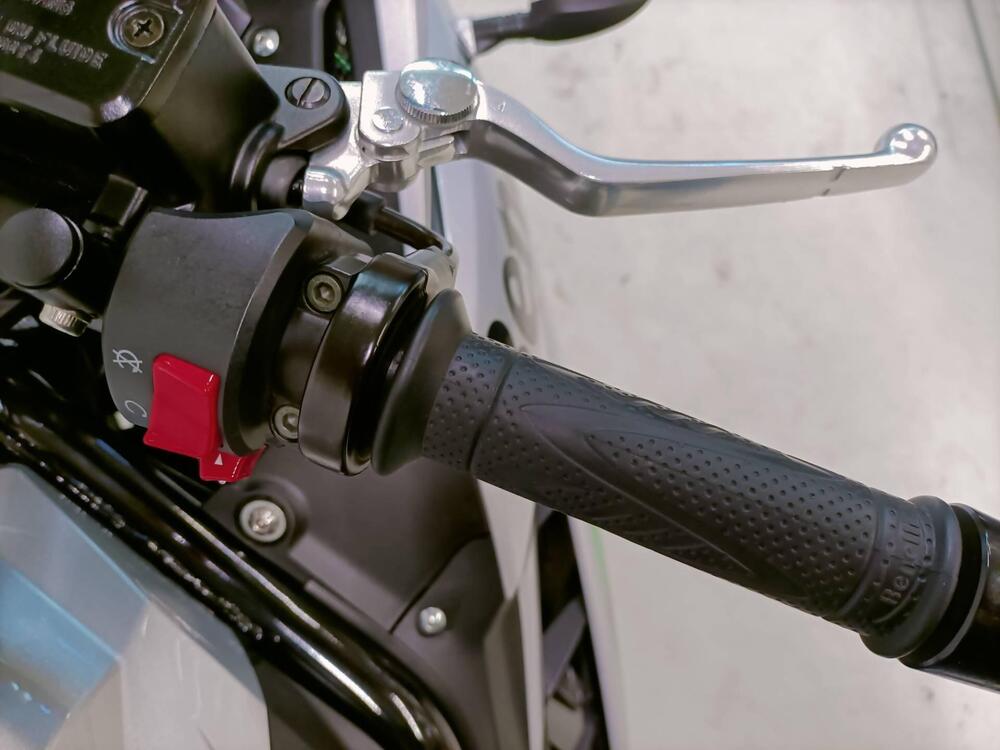 Benelli BN 302 R (2017 - 20) (5)