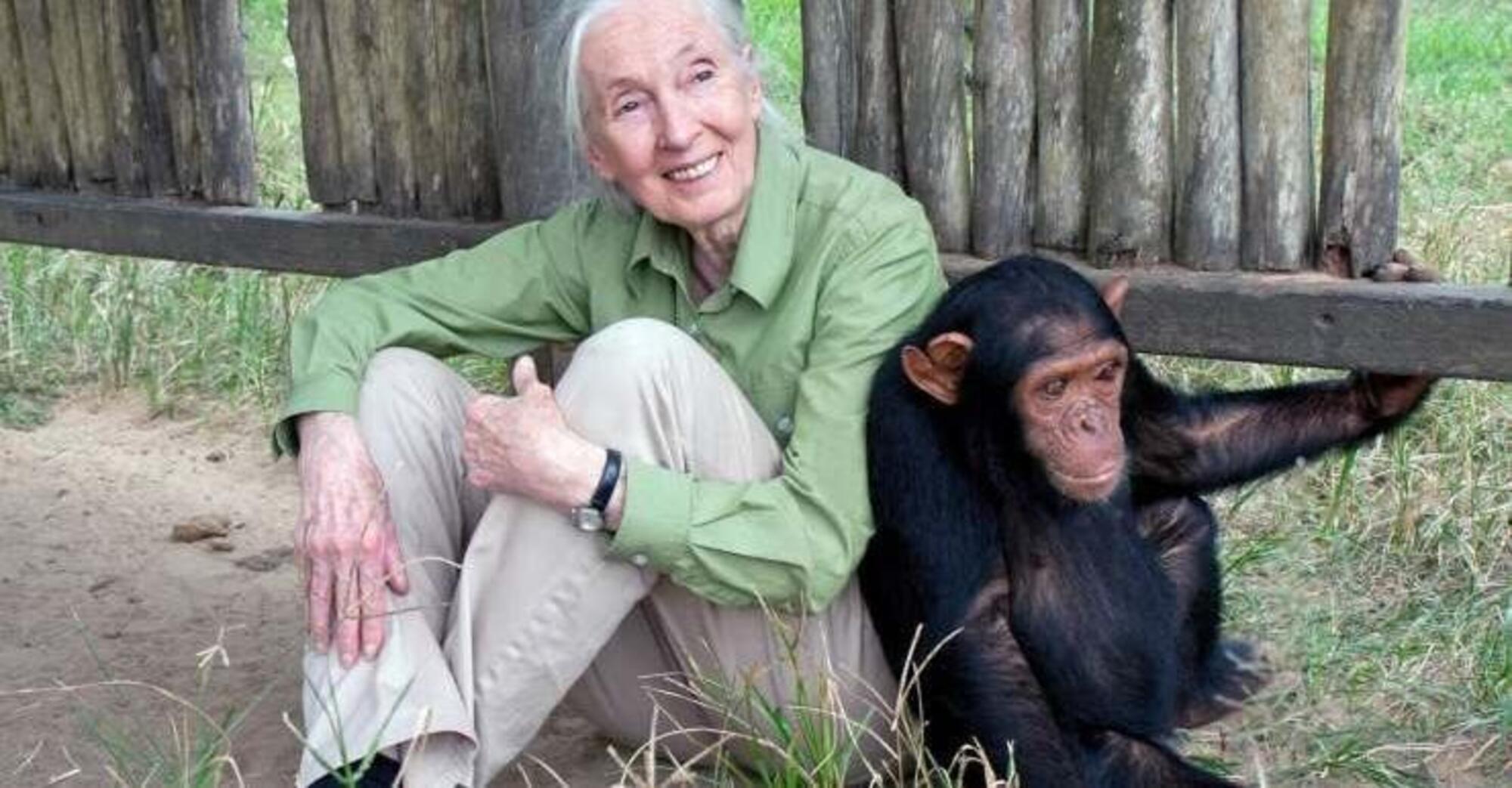 Jane Goodall, una vita per gli animali