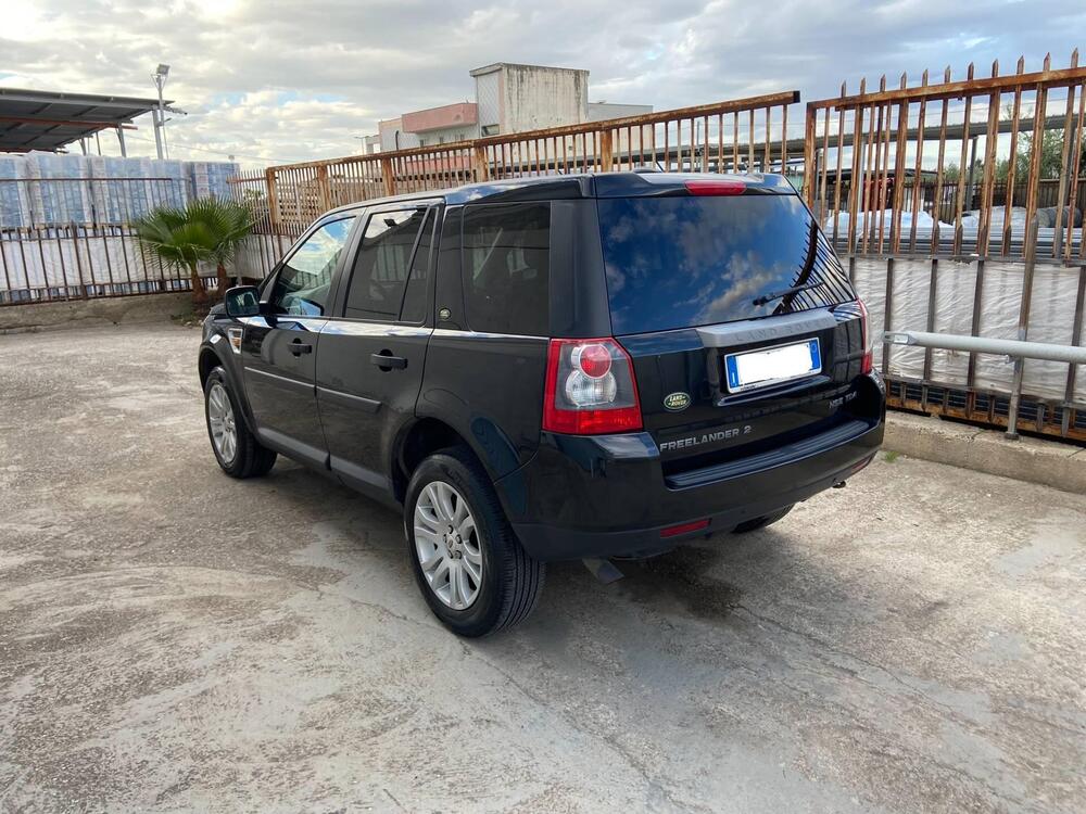 Land Rover Freelander usata a Foggia (4)