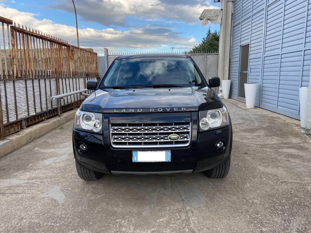 Land Rover Freelander usata a Foggia (2)