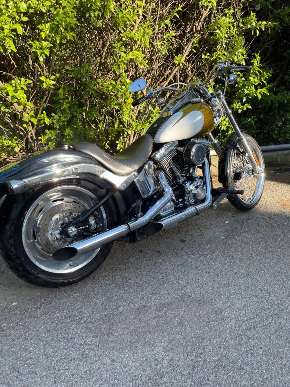 Harley-Davidson 1584 Custom (2007) - FXSTC (3)