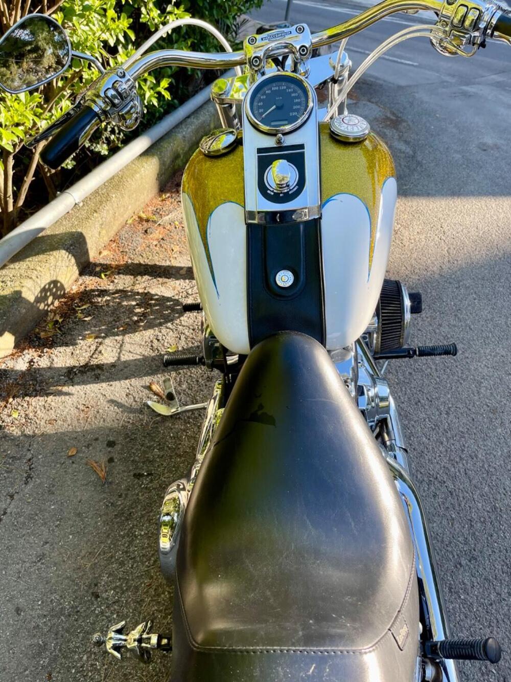 Harley-Davidson 1584 Custom (2007) - FXSTC (4)