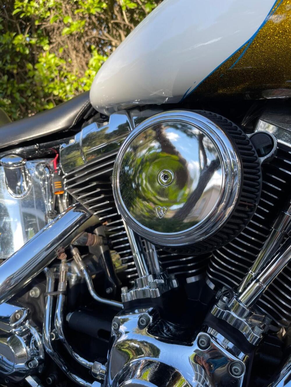 Harley-Davidson 1584 Custom (2007) - FXSTC (5)