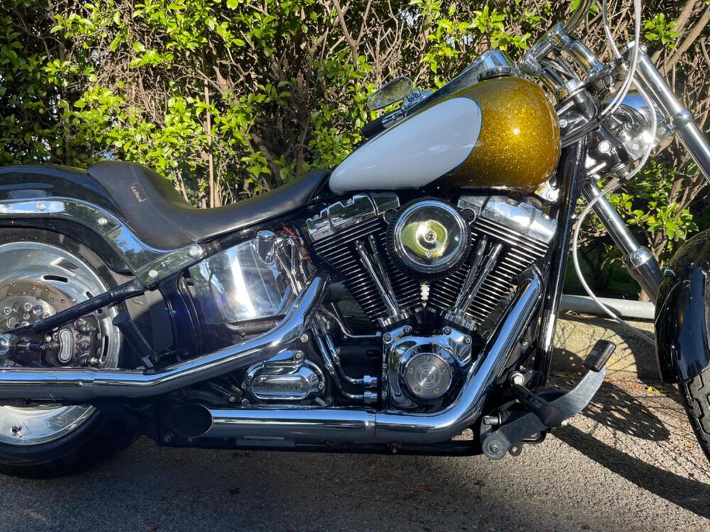 Harley-Davidson 1584 Custom (2007) - FXSTC (7)