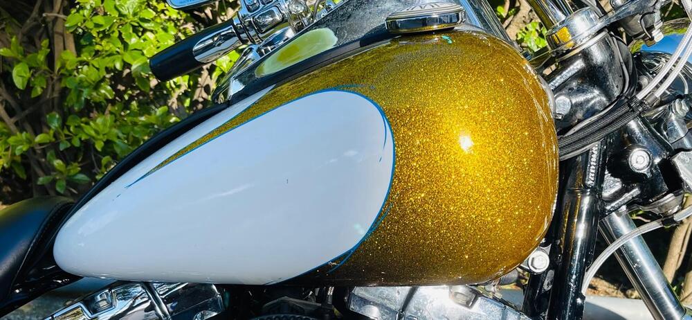 Harley-Davidson 1584 Custom (2007) - FXSTC (8)