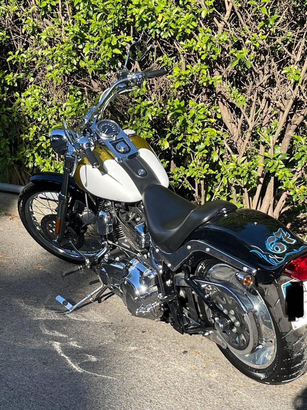 Harley-Davidson 1584 Custom (2007) - FXSTC (9)