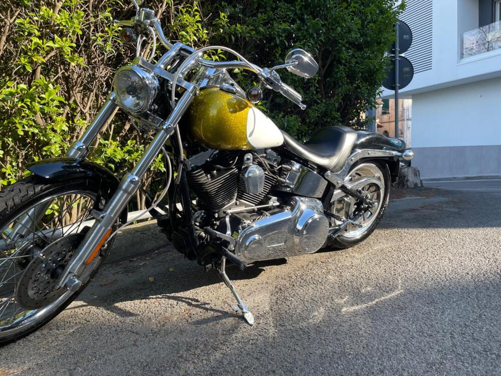 Harley-Davidson 1584 Custom (2007) - FXSTC (10)