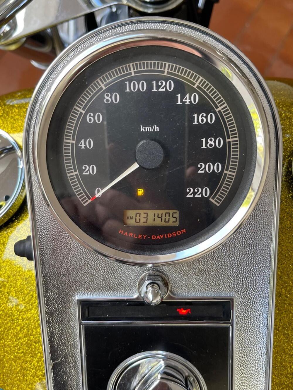 Harley-Davidson 1584 Custom (2007) - FXSTC (12)