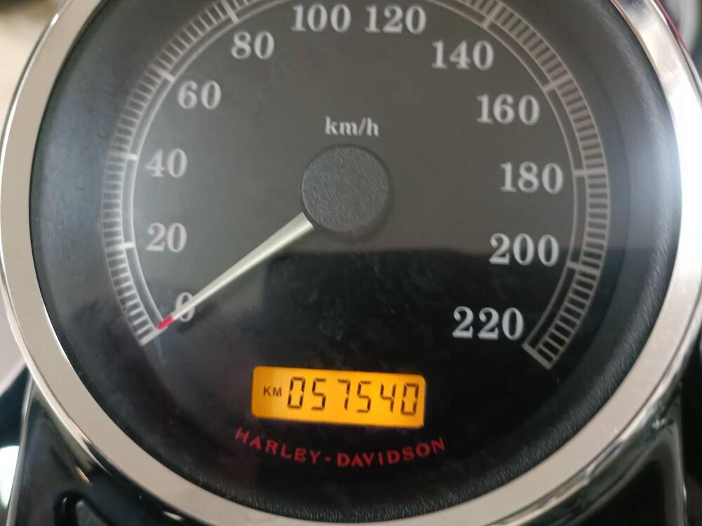 Harley-Davidson 1584 Cross Bones (2008 - 11) - FLSTSB (5)