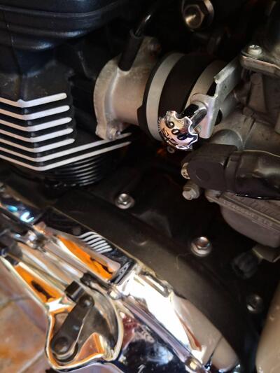 Triumph Bonneville T100 (2008 - 16) usata