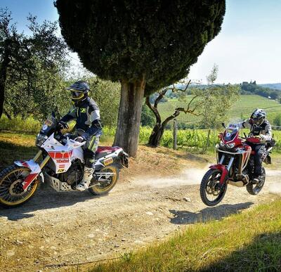 1000 Sassi: &egrave; tutto pronto, il Perfetto ti aspetta. Oltre 380 iscritti
