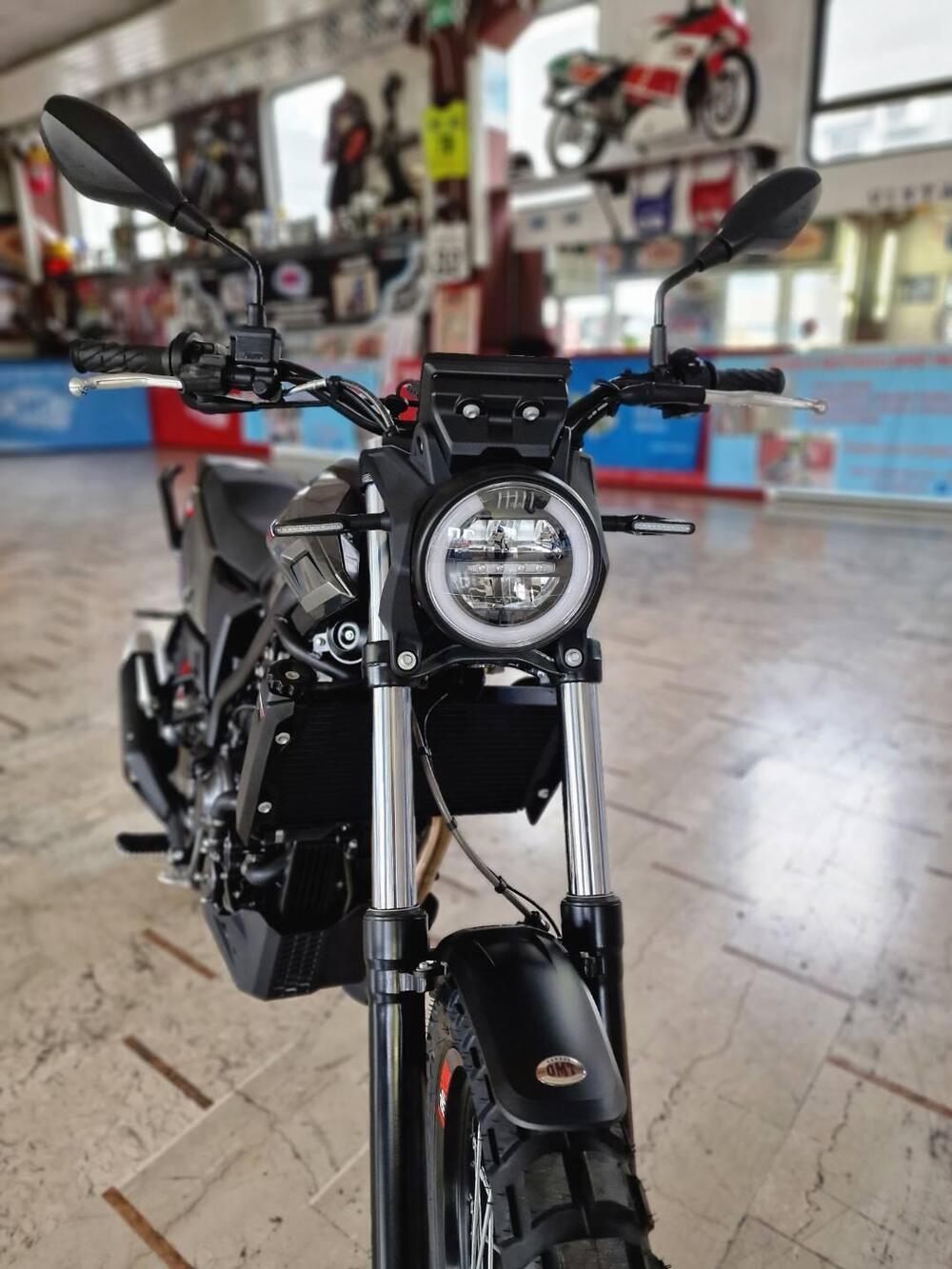 Betamotor Alp X (2024 - 25)