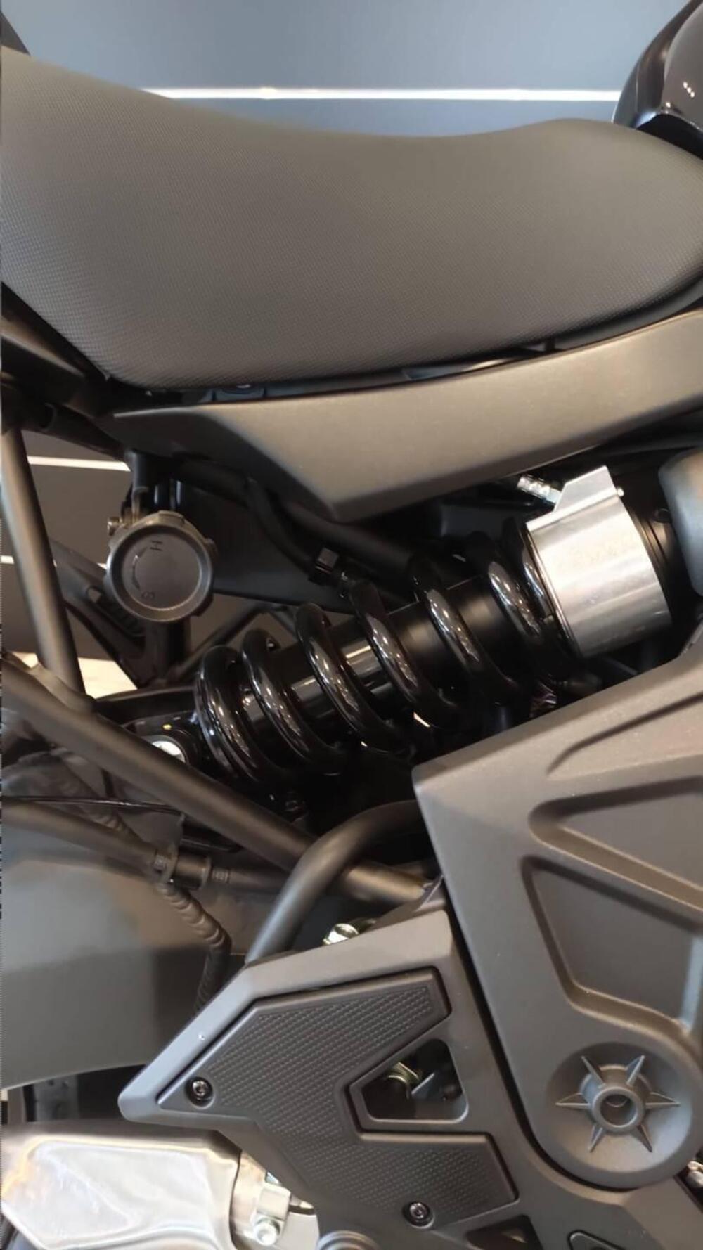 Kawasaki Versys 650 (2025 - 26) (17)