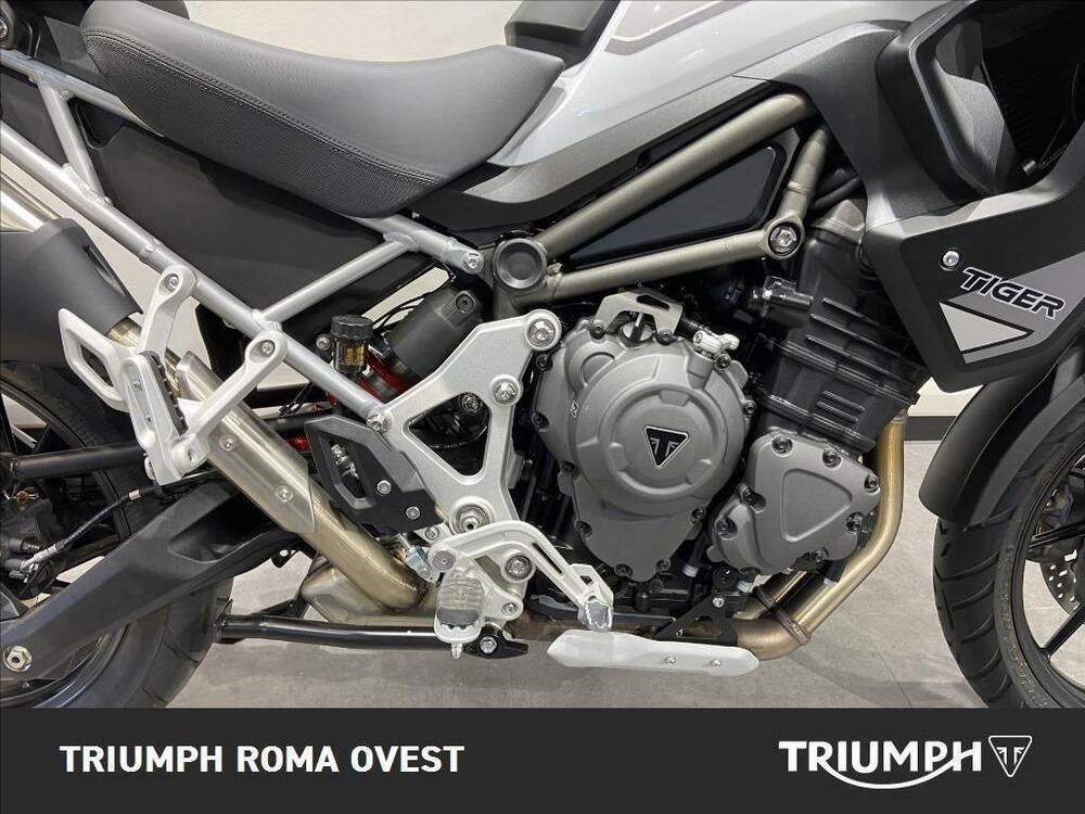 Triumph Tiger 1200 GT Pro (2024 - 25) (9)