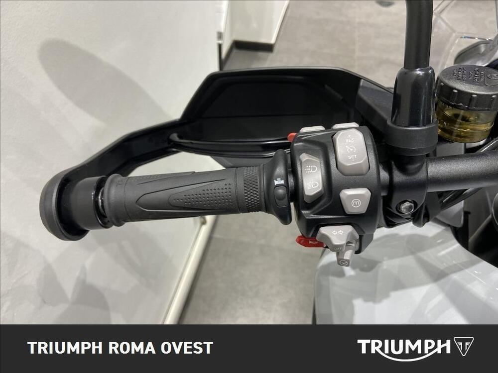 Triumph Tiger 1200 GT Pro (2024 - 25) (11)