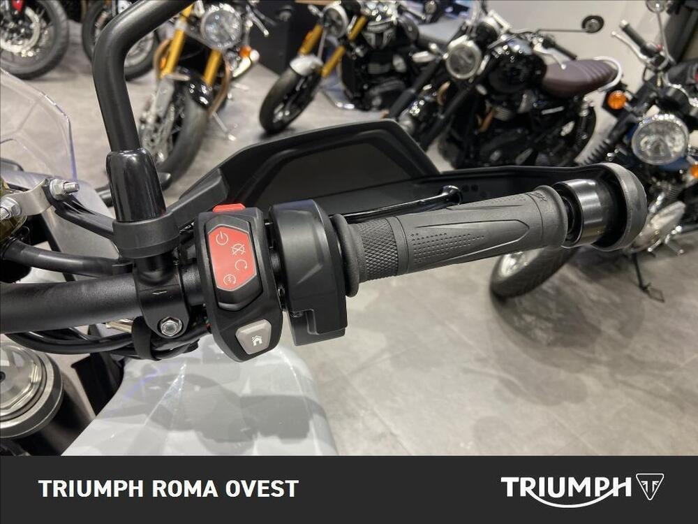 Triumph Tiger 1200 GT Pro (2024 - 25) (12)
