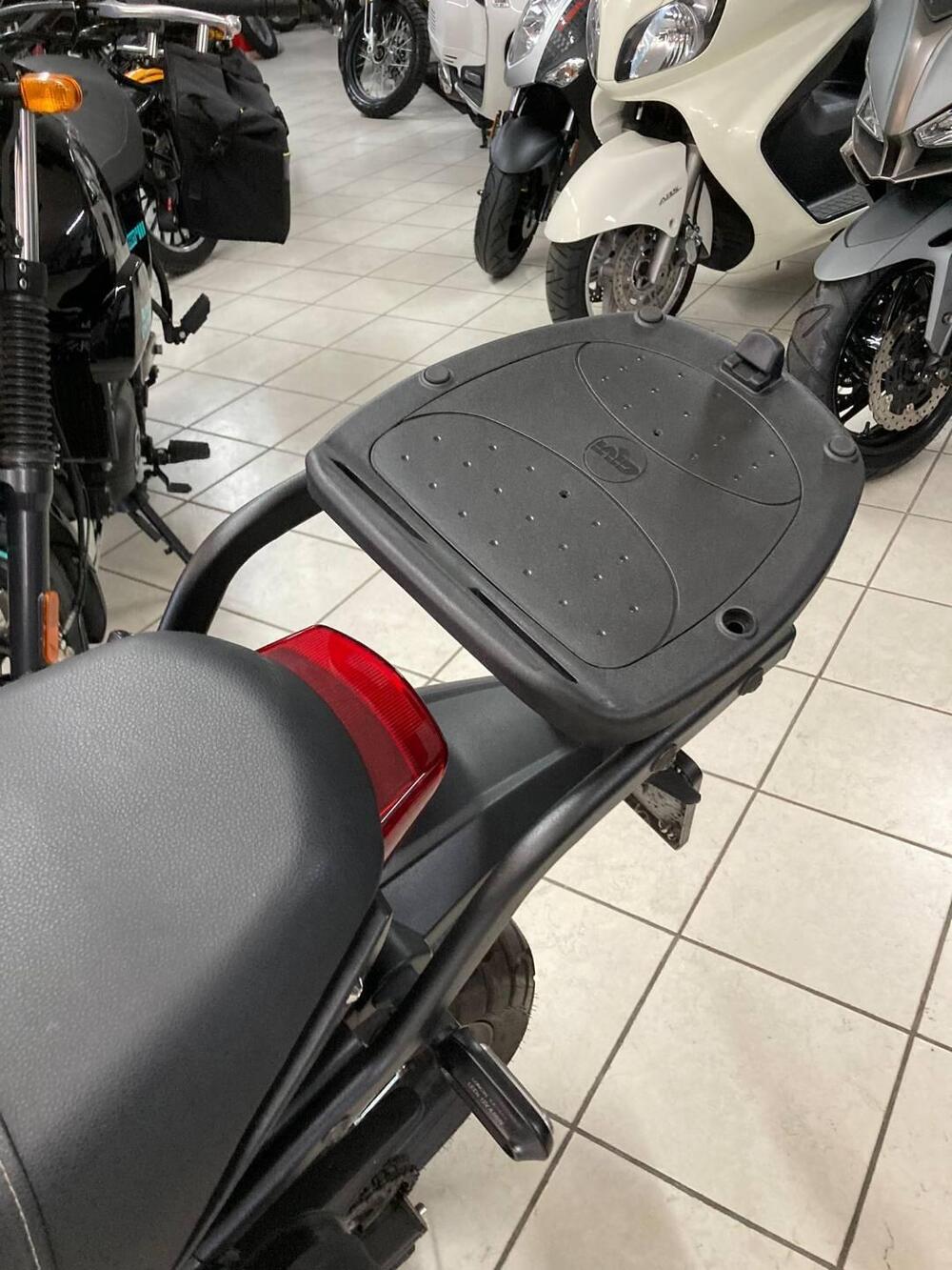 Voge Trofeo 300ACX Scrambler (2021 - 25) (3)