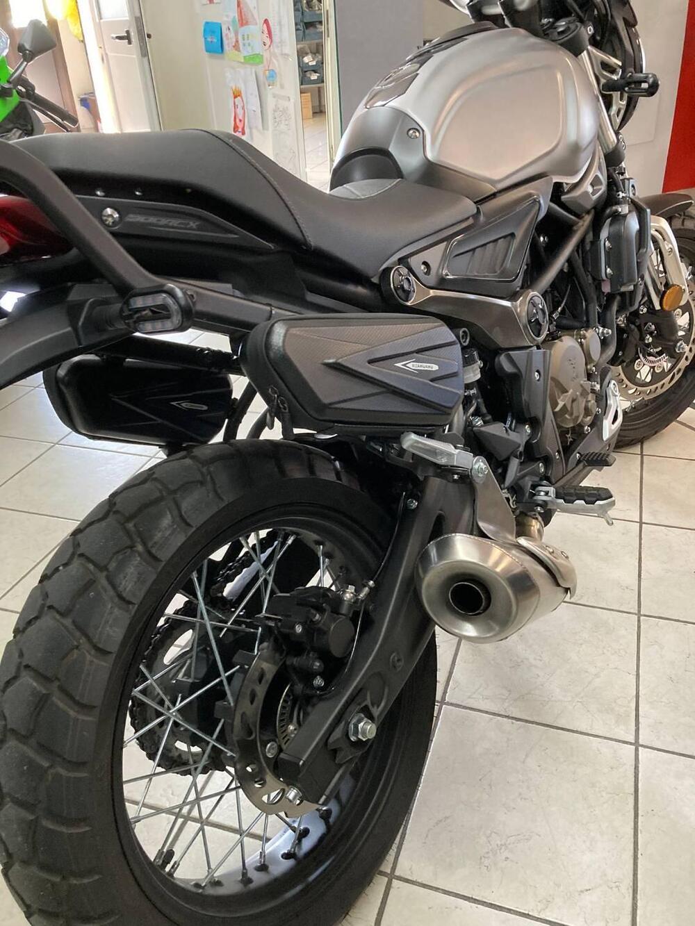 Voge Trofeo 300ACX Scrambler (2021 - 25) (4)