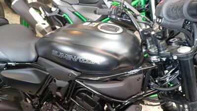Kawasaki Eliminator 500 (2024 - 26) nuova