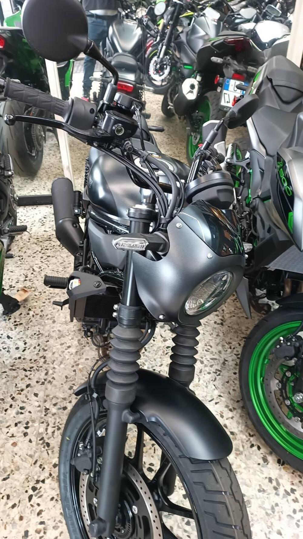 Kawasaki Eliminator 500 (2024 - 26) (2)