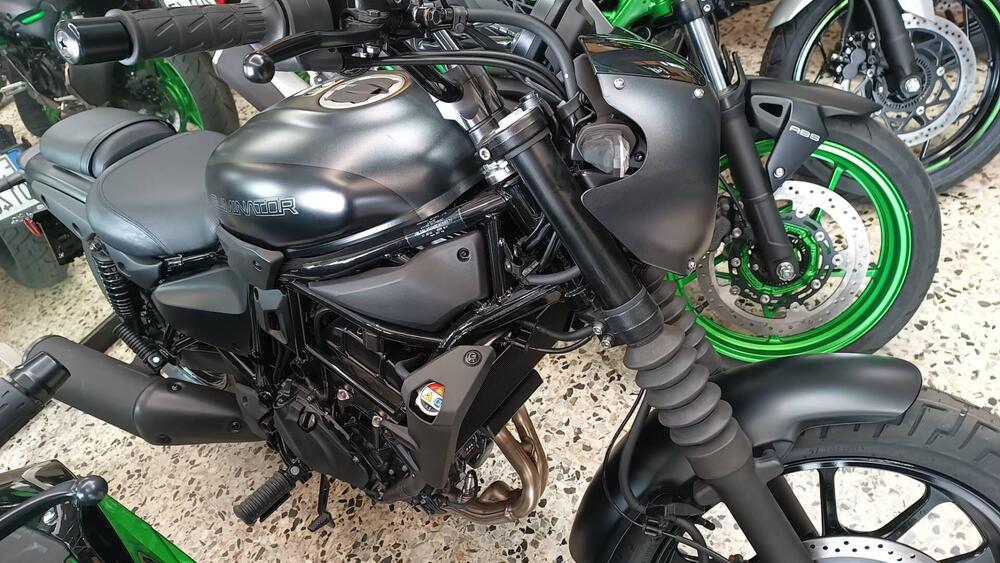 Kawasaki Eliminator 500 (2024 - 26) (3)