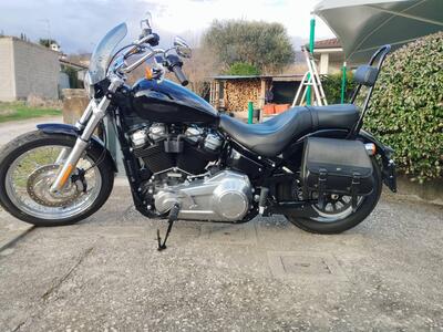 Harley-Davidson Softail Standard (2020) - FXST usata