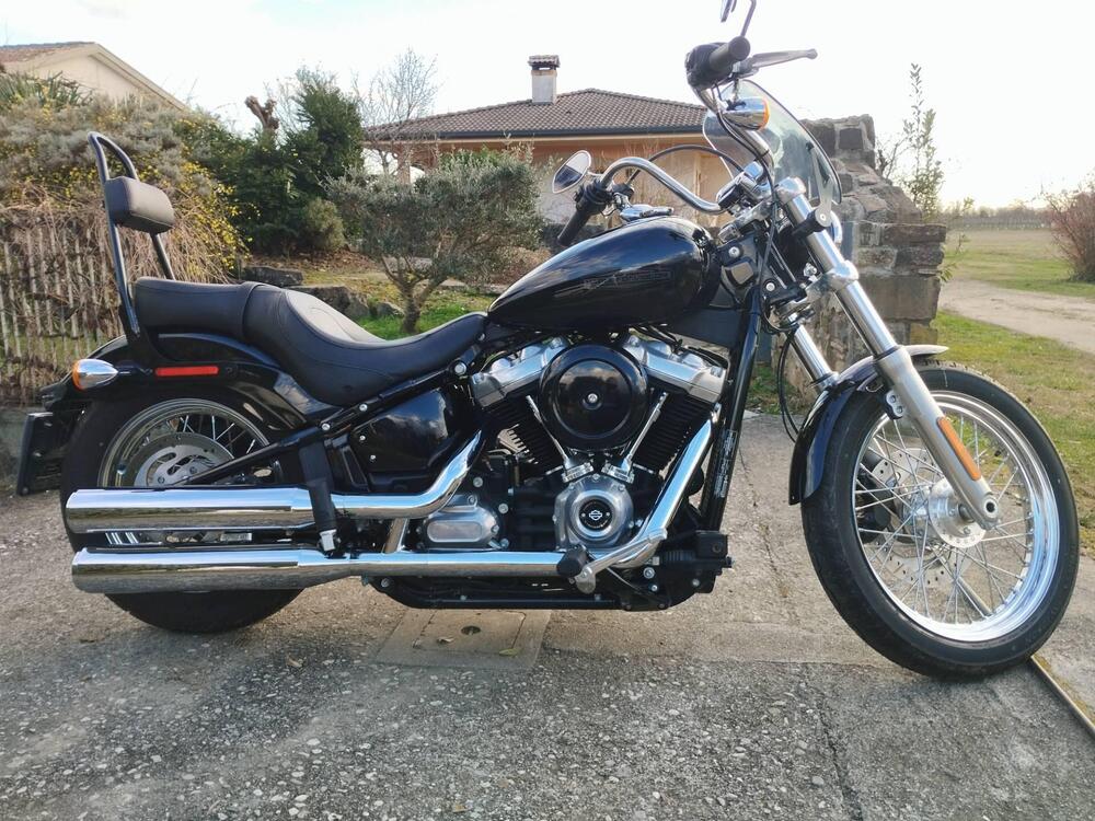 Harley-Davidson Softail Standard (2020) - FXST (3)