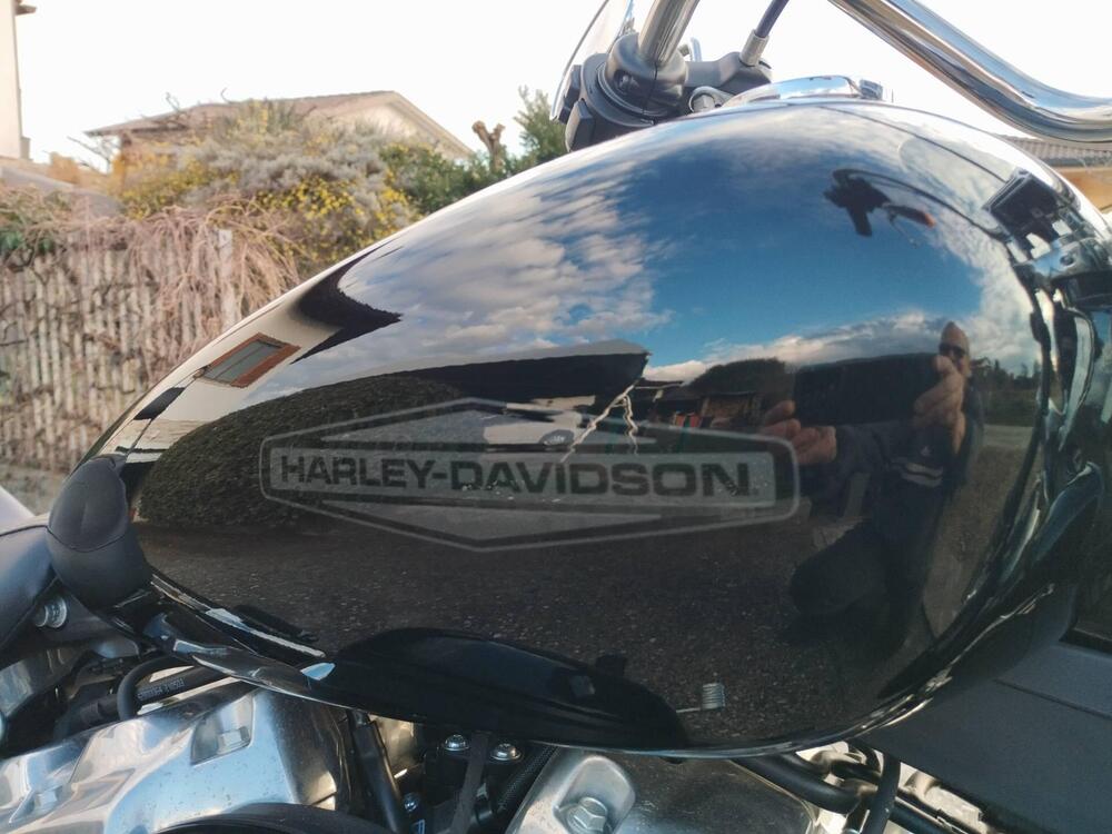 Harley-Davidson Softail Standard (2020) - FXST (7)