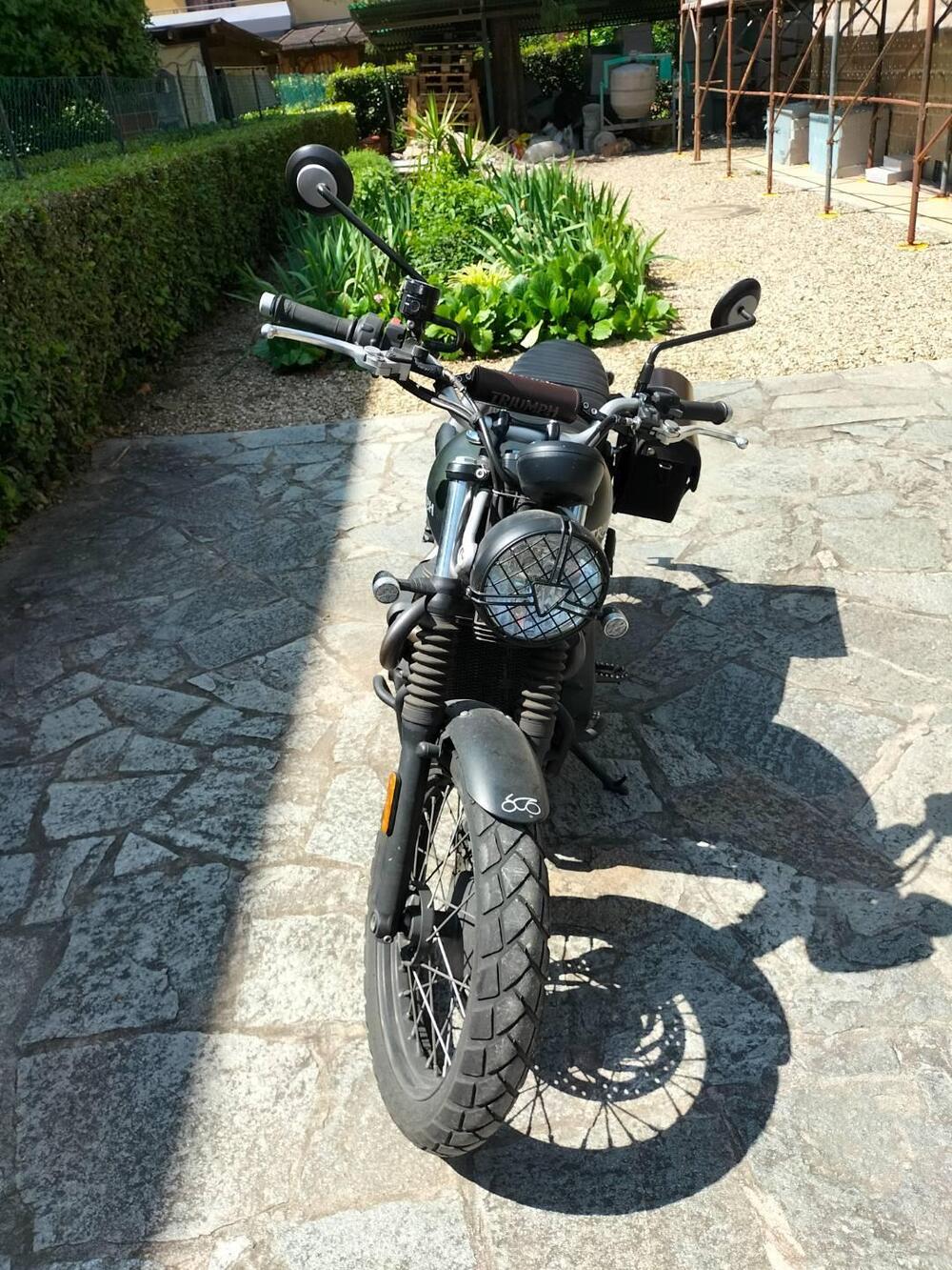 Triumph Street Scrambler 900 (2017 - 18) (3)