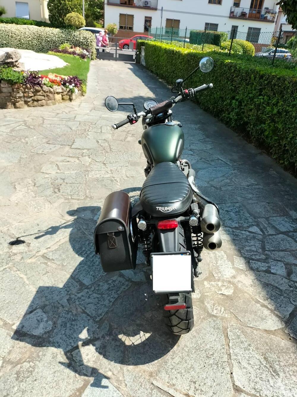 Triumph Street Scrambler 900 (2017 - 18) (4)