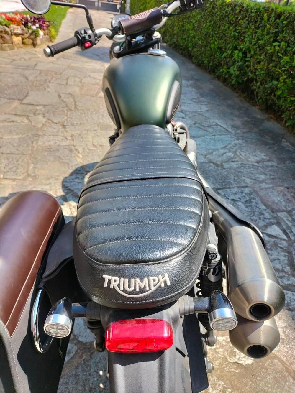 Triumph Street Scrambler 900 (2017 - 18) (6)