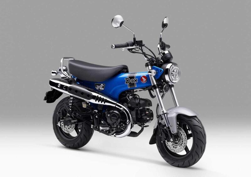 Honda Dax 125 Dax 125 (2023 - 24) (3)